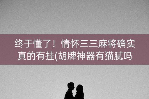 终于懂了！情怀三三麻将确实真的有挂(胡牌神器有猫腻吗)