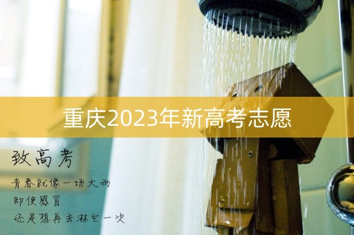 重庆2023年新高考志愿