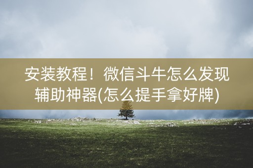 安装教程！微信斗牛怎么发现辅助神器(怎么提手拿好牌)