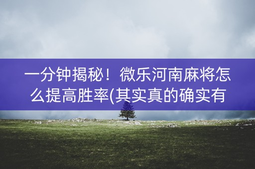 一分钟揭秘！微乐河南麻将怎么提高胜率(其实真的确实有挂)