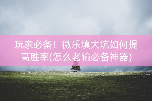 玩家必备！微乐填大坑如何提高胜率(怎么老输必备神器)