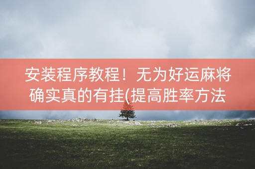 安装程序教程！无为好运麻将确实真的有挂(提高胜率方法)