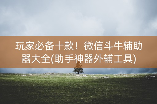 玩家必备十款！微信斗牛辅助器大全(助手神器外辅工具)