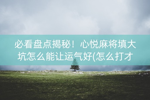 必看盘点揭秘！心悦麻将填大坑怎么能让运气好(怎么打才赢)