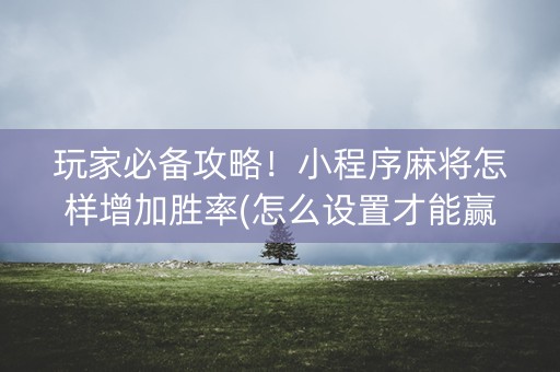 玩家必备攻略！小程序麻将怎样增加胜率(怎么设置才能赢)