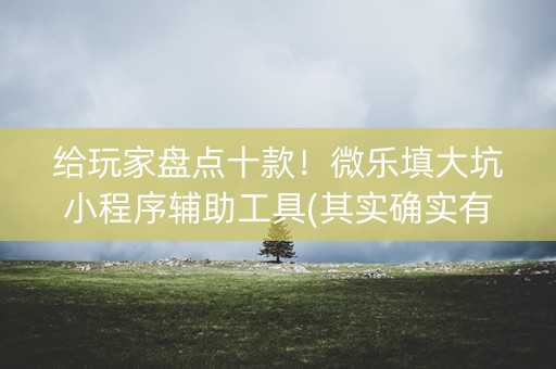 给玩家盘点十款！微乐填大坑小程序辅助工具(其实确实有挂)