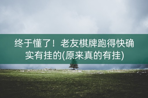 终于懂了！老友棋牌跑得快确实有挂的(原来真的有挂)