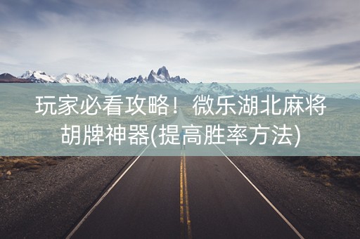 玩家必看攻略！微乐湖北麻将胡牌神器(提高胜率方法)