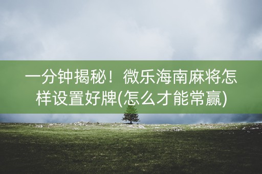 一分钟揭秘！微乐海南麻将怎样设置好牌(怎么才能常赢)
