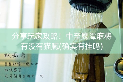 分享玩家攻略！中至鹰潭麻将有没有猫腻(确实有挂吗)