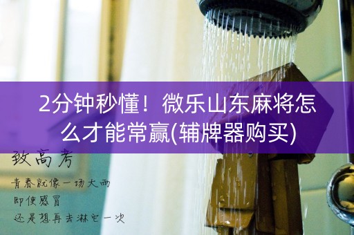 2分钟秒懂！微乐山东麻将怎么才能常赢(辅牌器购买)