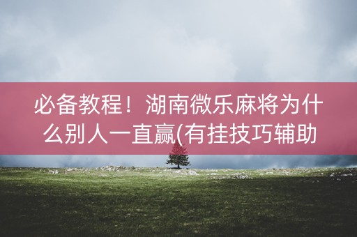 必备教程！湖南微乐麻将为什么别人一直赢(有挂技巧辅助器)