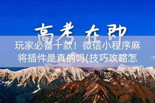 玩家必备十款！微信小程序麻将插件是真的吗(技巧攻略怎样拿好牌)