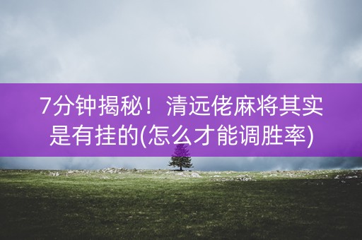7分钟揭秘！清远佬麻将其实是有挂的(怎么才能调胜率)