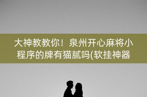 大神教教你！泉州开心麻将小程序的牌有猫腻吗(软挂神器)