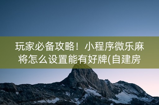玩家必备攻略！小程序微乐麻将怎么设置能有好牌(自建房怎么赢)