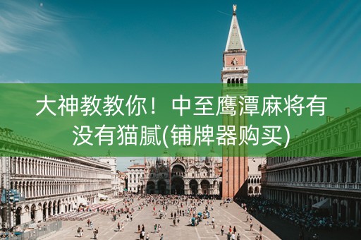 大神教教你！中至鹰潭麻将有没有猫腻(铺牌器购买)