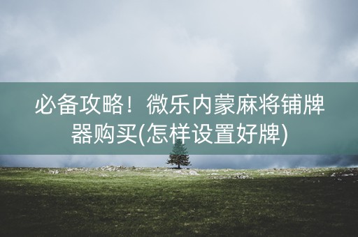 必备攻略！微乐内蒙麻将铺牌器购买(怎样设置好牌)