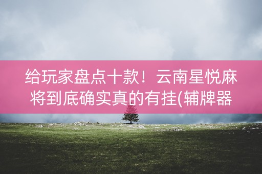 给玩家盘点十款！云南星悦麻将到底确实真的有挂(辅牌器购买)