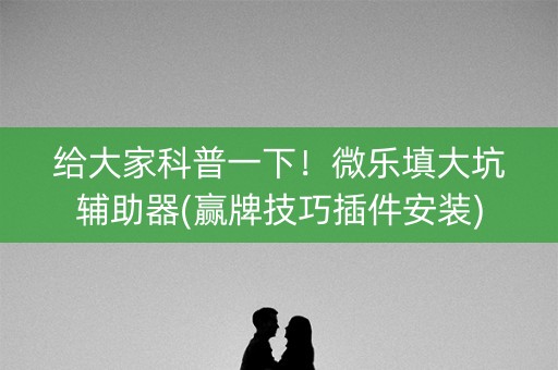 给大家科普一下！微乐填大坑辅助器(赢牌技巧插件安装)