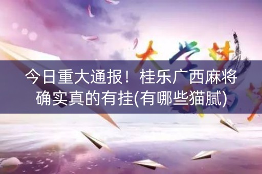 今日重大通报！桂乐广西麻将确实真的有挂(有哪些猫腻)
