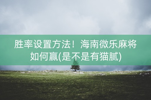 胜率设置方法！海南微乐麻将如何赢(是不是有猫腻)