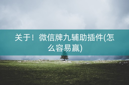 关于！微信牌九辅助插件(怎么容易赢)