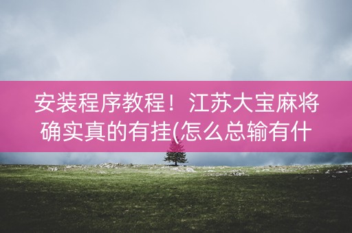 安装程序教程！江苏大宝麻将确实真的有挂(怎么总输有什么猫腻)
