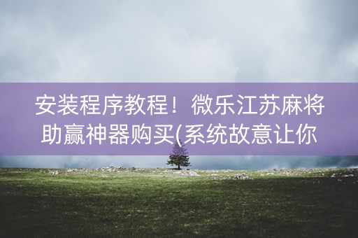 安装程序教程！微乐江苏麻将助赢神器购买(系统故意让你输)