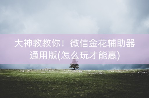 大神教教你！微信金花辅助器通用版(怎么玩才能赢)