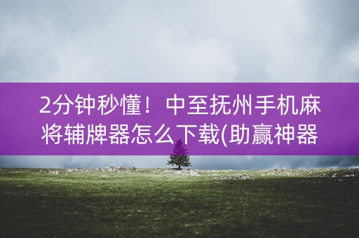2分钟秒懂！中至抚州手机麻将辅牌器怎么下载(助赢神器购买)