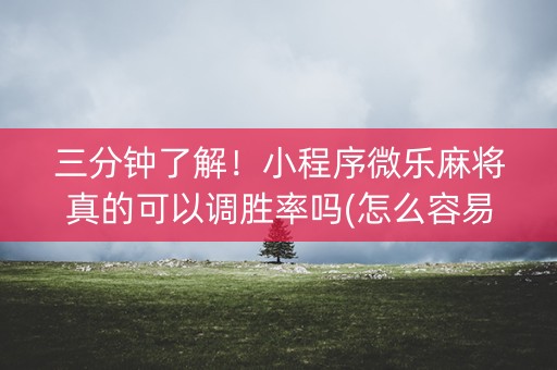 三分钟了解！小程序微乐麻将真的可以调胜率吗(怎么容易赢)