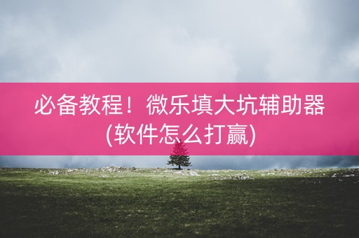 必备教程！微乐填大坑辅助器(软件怎么打赢)