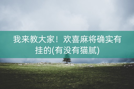 我来教大家！欢喜麻将确实有挂的(有没有猫腻)