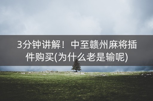 3分钟讲解！中至赣州麻将插件购买(为什么老是输呢)