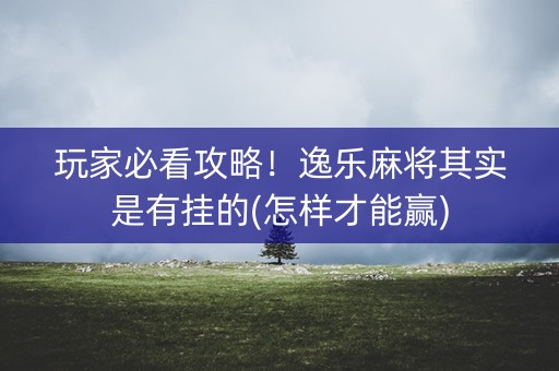 玩家必看攻略！逸乐麻将其实是有挂的(怎样才能赢)