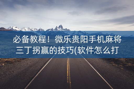 必备教程！微乐贵阳手机麻将三丁拐赢的技巧(软件怎么打赢)