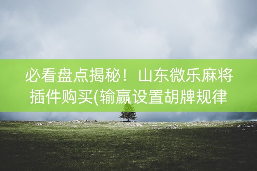 必看盘点揭秘！山东微乐麻将插件购买(输赢设置胡牌规律)