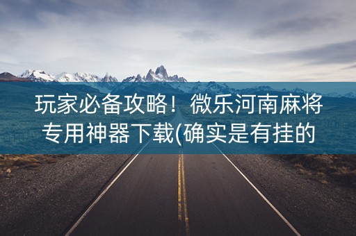 玩家必备攻略！微乐河南麻将专用神器下载(确实是有挂的)