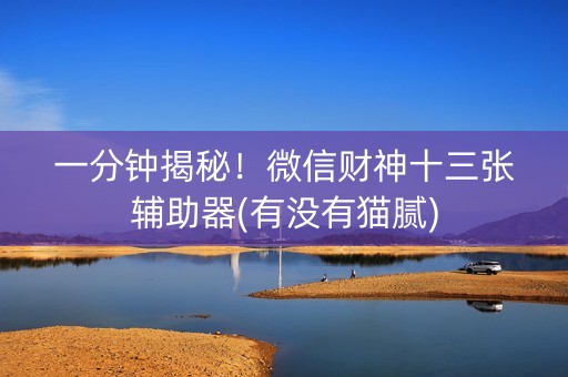 一分钟揭秘！微信财神十三张辅助器(有没有猫腻)
