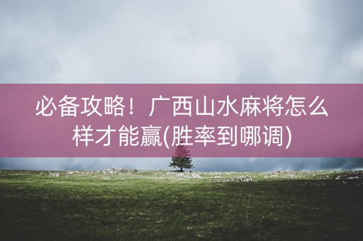 必备攻略！广西山水麻将怎么样才能赢(胜率到哪调)