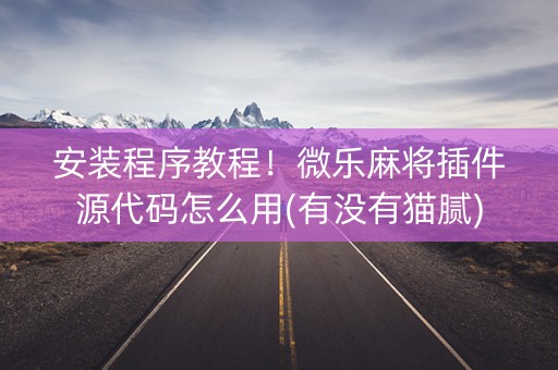 安装程序教程！微乐麻将插件源代码怎么用(有没有猫腻)