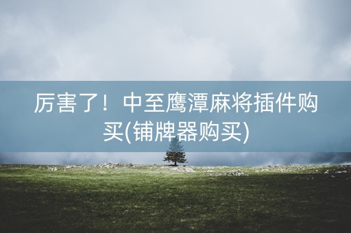 厉害了！中至鹰潭麻将插件购买(铺牌器购买)