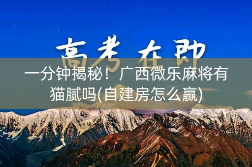 一分钟揭秘！广西微乐麻将有猫腻吗(自建房怎么赢)