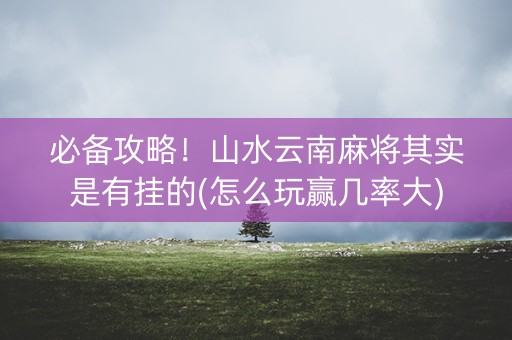 必备攻略！山水云南麻将其实是有挂的(怎么玩赢几率大)
