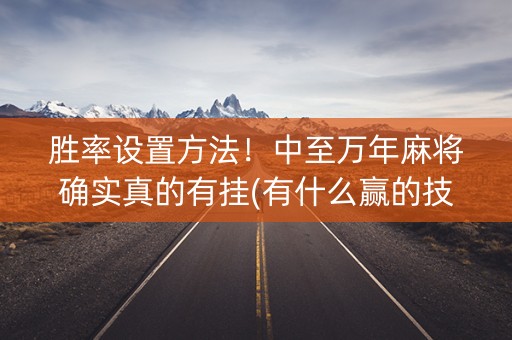 胜率设置方法！中至万年麻将确实真的有挂(有什么赢的技巧)
