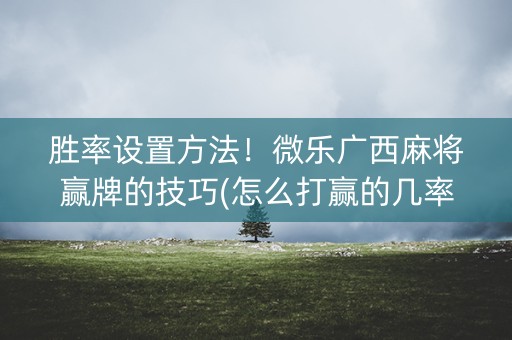 胜率设置方法！微乐广西麻将赢牌的技巧(怎么打赢的几率大)