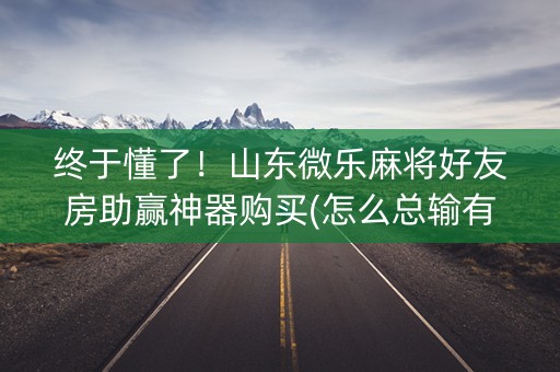 终于懂了！山东微乐麻将好友房助赢神器购买(怎么总输有什么猫腻)