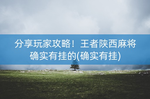 分享玩家攻略！王者陕西麻将确实有挂的(确实有挂)