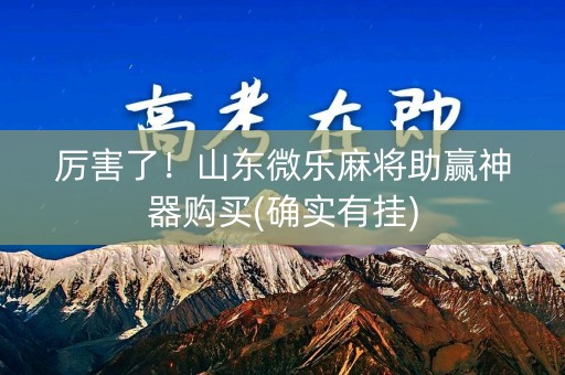 厉害了！山东微乐麻将助赢神器购买(确实有挂)